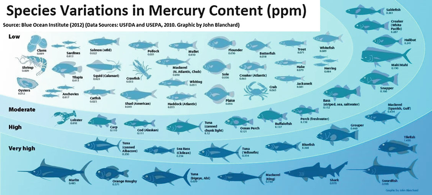 Nutritional value of seafood