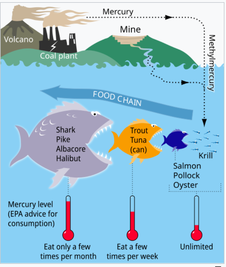 Heart health benefits of fish